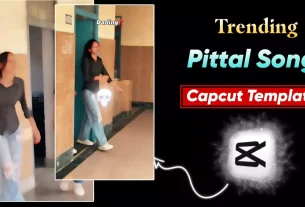 Pittal Song Capcut Template